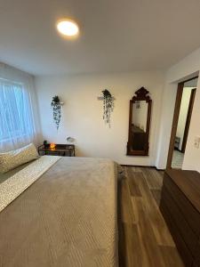 a bedroom with a large bed and a mirror at Cozy & modern apartment in Willstätt in Willstätt
