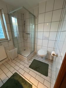 a bathroom with a shower and a toilet and a sink at Cozy & modern apartment in Willstätt in Willstätt