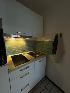 a small kitchen with a sink and a refrigerator at Cozy & modern apartment in Willstätt in Willstätt