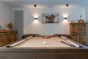 a room with a pool table with a bull head on the wall at Burgemeestershof in Wetteren