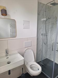 a white bathroom with a toilet and a shower at Logierhaus Hoppegarten direkt an der Rennbahn mit perfekter S-Bahn Anbindung in Hoppegarten +12 photos