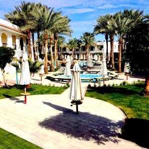 a group of white umbrellas in a park with palm trees at Xperience St. George Sharm El Sheikh in Sharm El Sheikh