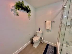 a bathroom with a toilet and a glass shower at The Cozy Suite - 1BR with Free Parking in Paterson