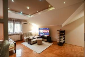 a living room with a large flat screen tv at D apartmani in Sremska Kamenica