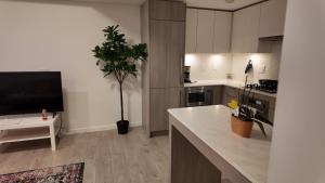 a kitchen with a potted plant in the middle of it at Cozy 1 bed and 1 bath in Surrey