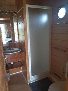 a bathroom with a shower and a sink at roulotte de charme avec jacuzzi privé in Beaupouyet