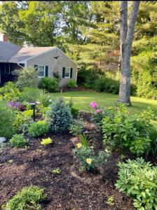 a garden in front of a house with flowers at Perfect Cape Escape ! in Harwich