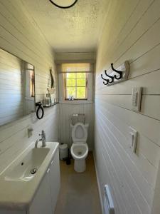 a small bathroom with a toilet and a sink at Tracadie Cottages in York +62 photos