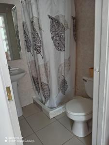 a bathroom with a toilet and a shower curtain at ayelen bed and breakfast in Punta Arenas