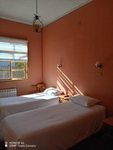 two beds in a room with orange walls at ayelen bed and breakfast in Punta Arenas