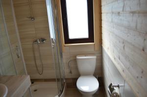 un piccolo bagno con wc e doccia di OW Wiktoria a Rogowo Altre 8 foto
