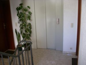 einen Flur mit einer Pflanze neben einer Tür in der Unterkunft Domizil in Bad Bertrich