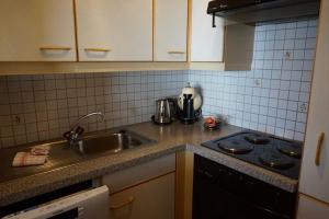 Kuchyň nebo kuchyňský kout v ubytování Apart Landhaus Zangerl
