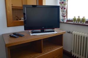 TV a/nebo společenská místnost v ubytování Apart Landhaus Zangerl