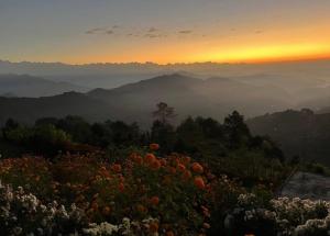 a field of pumpkins on a hill at sunset at Hotel Shangbola in Pāti Bhanjyāng