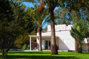 een wit huis met palmbomen ervoor bij Ktima Grammeno Beachside Villa in Palaiochóra