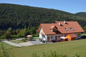a house in a field with a mountain in the background at Noclegi "Koniadów" in Solina
