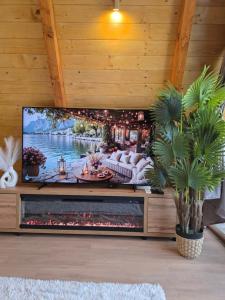a living room with a tv on a wooden wall at Vila Mila in Vlaška