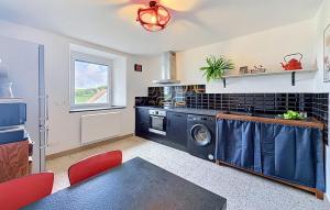 a kitchen with a washer and dryer in a room at Elegant Apprt in Lachamp-Raphaël