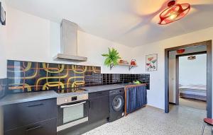 a kitchen with a stove and a dishwasher at Elegant Apprt in Lachamp-Raphaël +8 photos