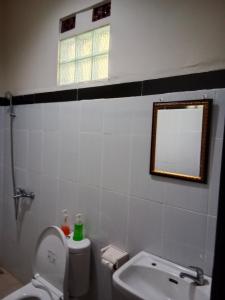 a bathroom with a toilet and a mirror and a sink at Kaeles House in Sidemen