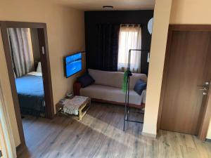 a living room with a couch and a bed and a television at Emanuela Chalets in Moshav Ramot