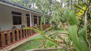 a house in the woods with a porch at Rekawa Edge Homestay in Netolpitiya +67 photos