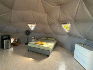 a room with a bed in a tent at Dôme en face de la Passe de Tiputa in Rangiroa +8 photos