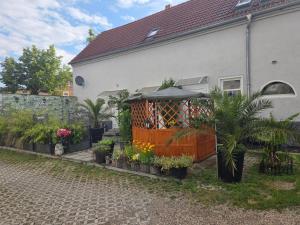 a house with a bunch of plants in front of it at Pferdepension Jäger in Markranstädt