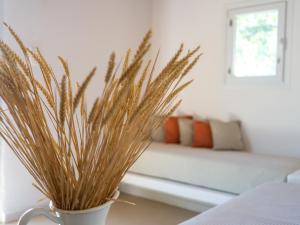 a vase filled with brown grass sitting on a table at Rhenia Mykonos Hotel & Bungalows in Tourlos