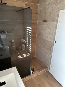 a shower with a glass door in a bathroom at Paradise Relax Apartament in Zalău