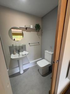 a bathroom with a toilet and a sink at Gatwick 'Bit on the Side' in Copthorne