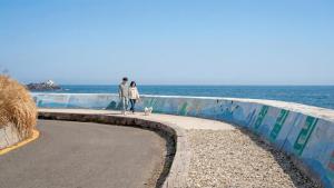 a man and a woman walking a dog near the ocean at Pohang Baritdol Pension in Pohang +2 photos