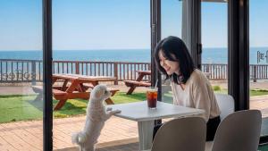 a woman sitting at a table with a white dog at Pohang Baritdol Pension in Pohang
