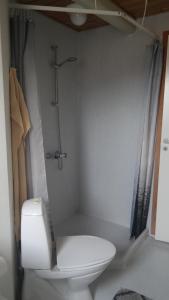 a bathroom with a white toilet and a shower at Central located Large apartment on the 1st floor tv in Hjørring