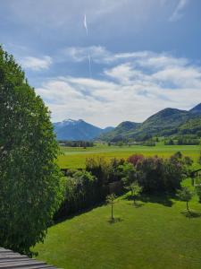 a view of a field with mountains in the background at Chiemsee Hauszeit in Bernau am Chiemsee