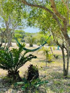 a hammock hanging from a tree in a park at Roof View Macaneta in Praia de Macaneta