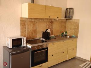 a small kitchen with a microwave and a sink at Studio centre ville d'orange in Orange