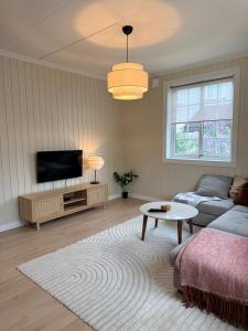 a living room with a couch and a tv at Nyoppusset leilighet i klassisk hus! in Lillehammer