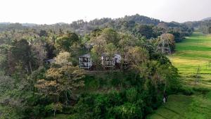 an aerial view of a house on a hill with trees at Circle Edge Resort in Kandy