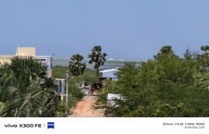 a dirt road leading to a beach with palm trees at VvM COTTAGE in Thiruchendur