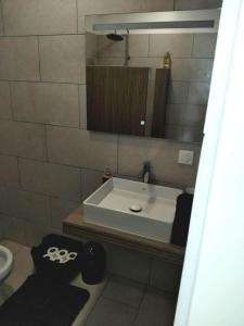 a bathroom with a white sink and a mirror at Fare Zen Raiatea - with pool in Uturoa