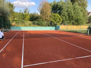 a tennis court with a net on top of it at Statek U Dubu in Svojetín