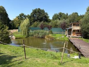 a pond in front of a log cabin at Statek U Dubu in Svojetín