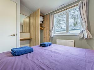 a bedroom with a purple bed with two blue pillows on it at No29 - Uk52060 in Hartland