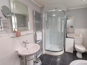 a bathroom with a sink and a shower and a toilet at Rose Briar Cottage in Morpeth