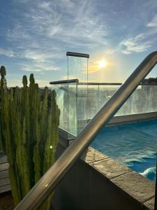 a cactus sitting next to a swimming pool at M&M Nest in Windhoek