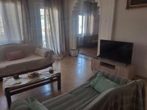 a living room with a couch and a flat screen tv at Aspasia's apartment in Mytilene
