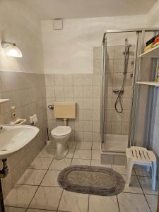 a bathroom with a shower and a toilet and a sink at Ferienhof van Vlyten_ 45006 in Jemgum +50 photos
