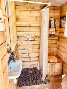 a bathroom with a toilet and a sink at Yourte avec bain nordique in Quimper +27 photos